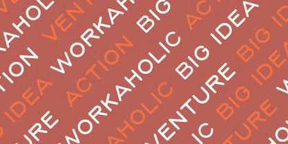 CCS Neue Serave Font Poster 4
