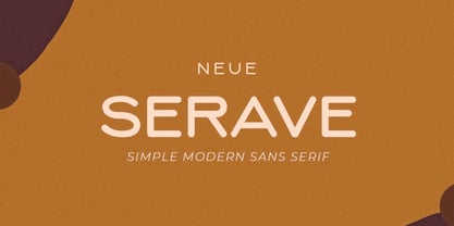 CCS Neue Serave Font Poster 1