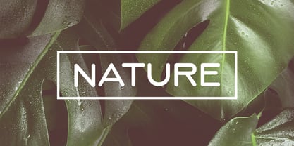 CCS Neue Serave Font Poster 9
