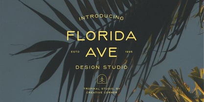 CCS Neue Serave Font Poster 2