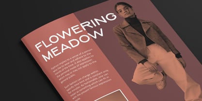 CCS Neue Serave Font Poster 5