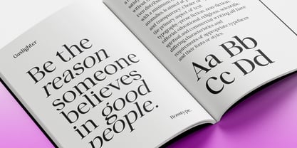 Gaslighter Font Poster 9