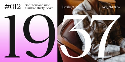 Gaslighter Font Poster 5