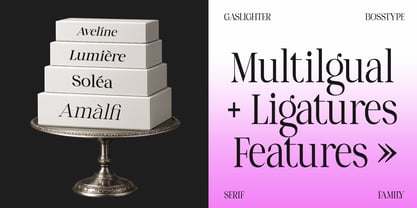 Gaslighter Font Poster 12