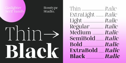 Gaslighter Font Poster 4