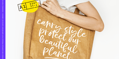 Sugar Blushy Font Poster 4