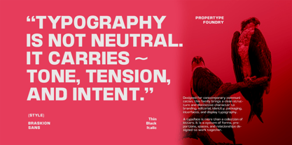Braskion Font Poster 5