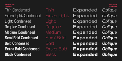 Braskion Font Poster 13