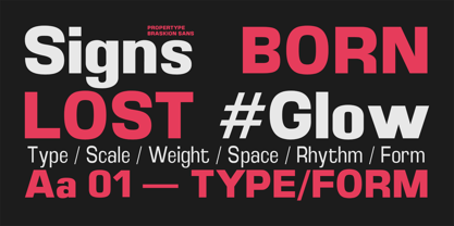 Braskion Font Poster 11