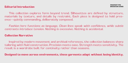 Braskion Font Poster 8