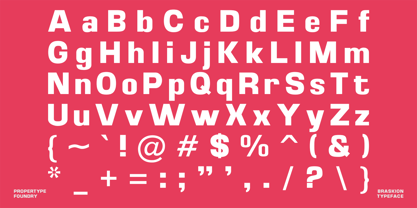 Braskion Font Poster 14