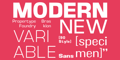 Braskion Font Poster 7