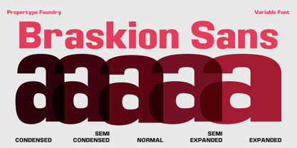 Braskion Font Poster 10