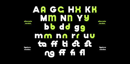 Boldega Font Poster 9