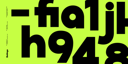 Boldega Font Poster 7