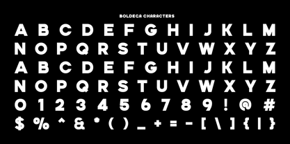 Boldega Font Poster 8