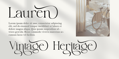 Baulgante Font Poster 11