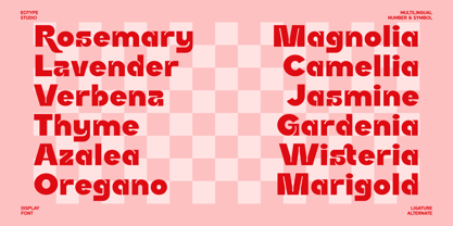 Rucka Font Poster 9