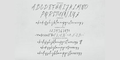 Themusion Signature Font Poster 8
