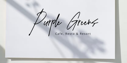 Themusion Signature Font Poster 6