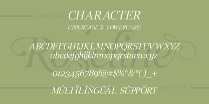 Roselime Font Poster 7