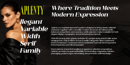 Aplenty Font Poster 4