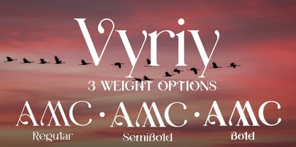 Vyriy Font Poster 3