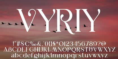 Vyriy Font Poster 2