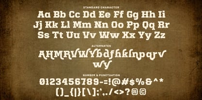 Wolfsburg Heritage Font Poster 6