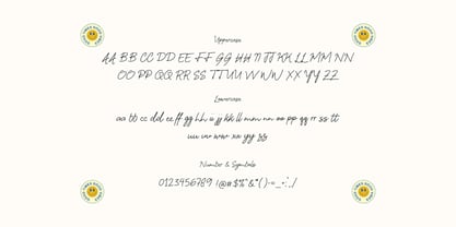 Emirtha Signature Font Poster 8