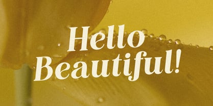 Editorial Revival Font Poster 9