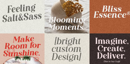 Editorial Revival Font Poster 12