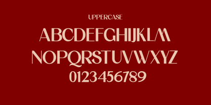 Kalviro Font Poster 5