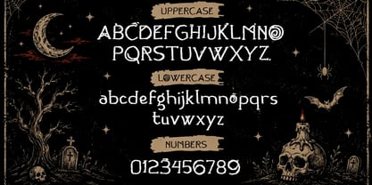 Nora Brindle Font Poster 5