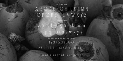 Lowera Font Poster 8