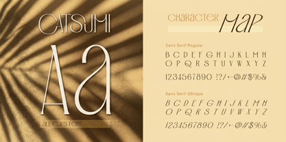 Catsumi Font Poster 2
