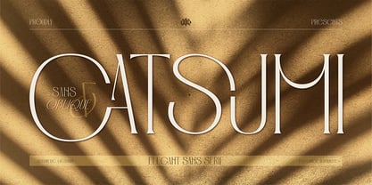 Catsumi Font Poster 1