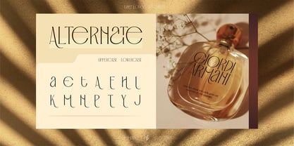 Catsumi Font Poster 5