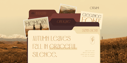 Catsumi Font Poster 3