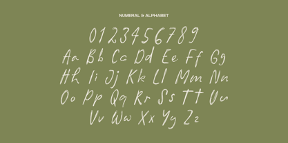 Pola Words Font Poster 8