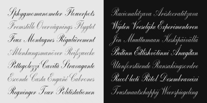 Copperplate Script CT Font Poster 8
