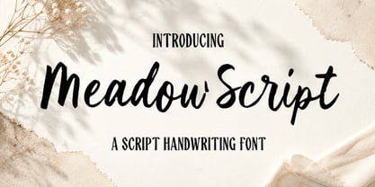 Meadow Script Font Poster 1