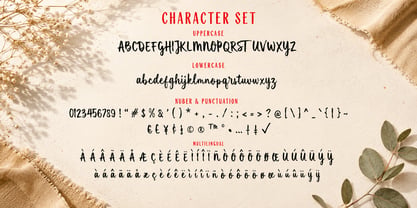 Meadow Script Font Poster 6