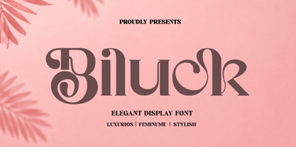 Biluck Font Poster 1