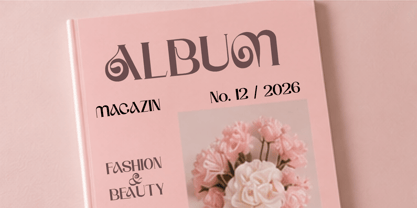 Biluck Font Poster 13