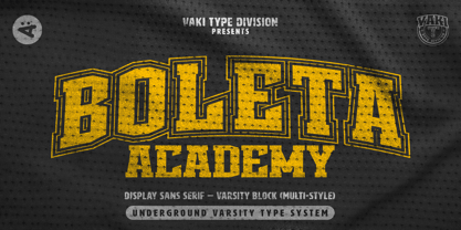 Boleta Academy Font Poster 1