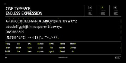 Saltriver Grotesk Font Poster 3
