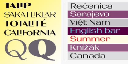 Toplica Pro Font Poster 8