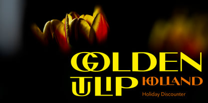 Toplica Pro Font Poster 3