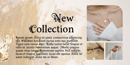 Murisa Agnelli Font Poster 4